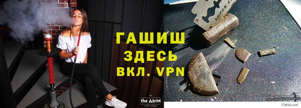 стаф Балахна