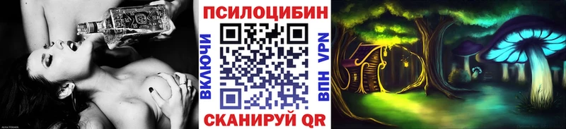 Псилоцибиновые грибы мицелий  наркотики  Свободный 